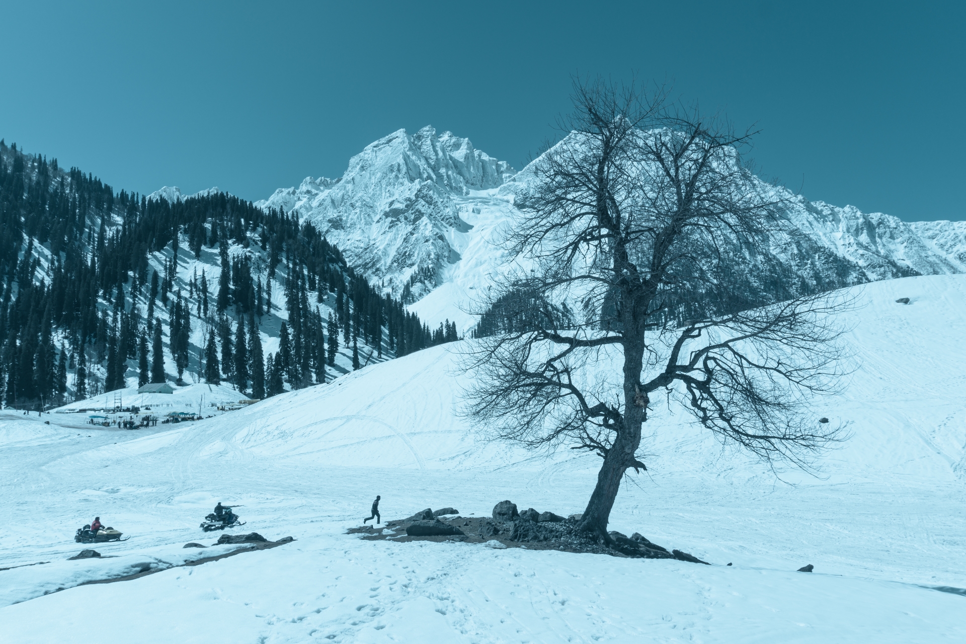 Scenic Srinagar and Serene Sonamarg