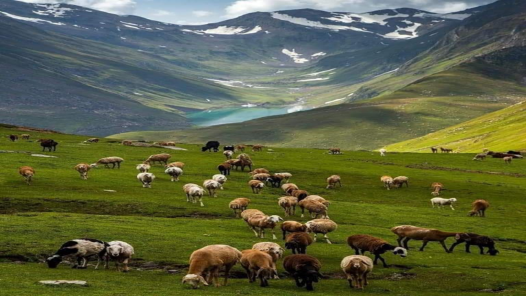 Pahalgam
